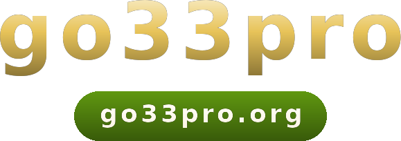 go33pro logo
